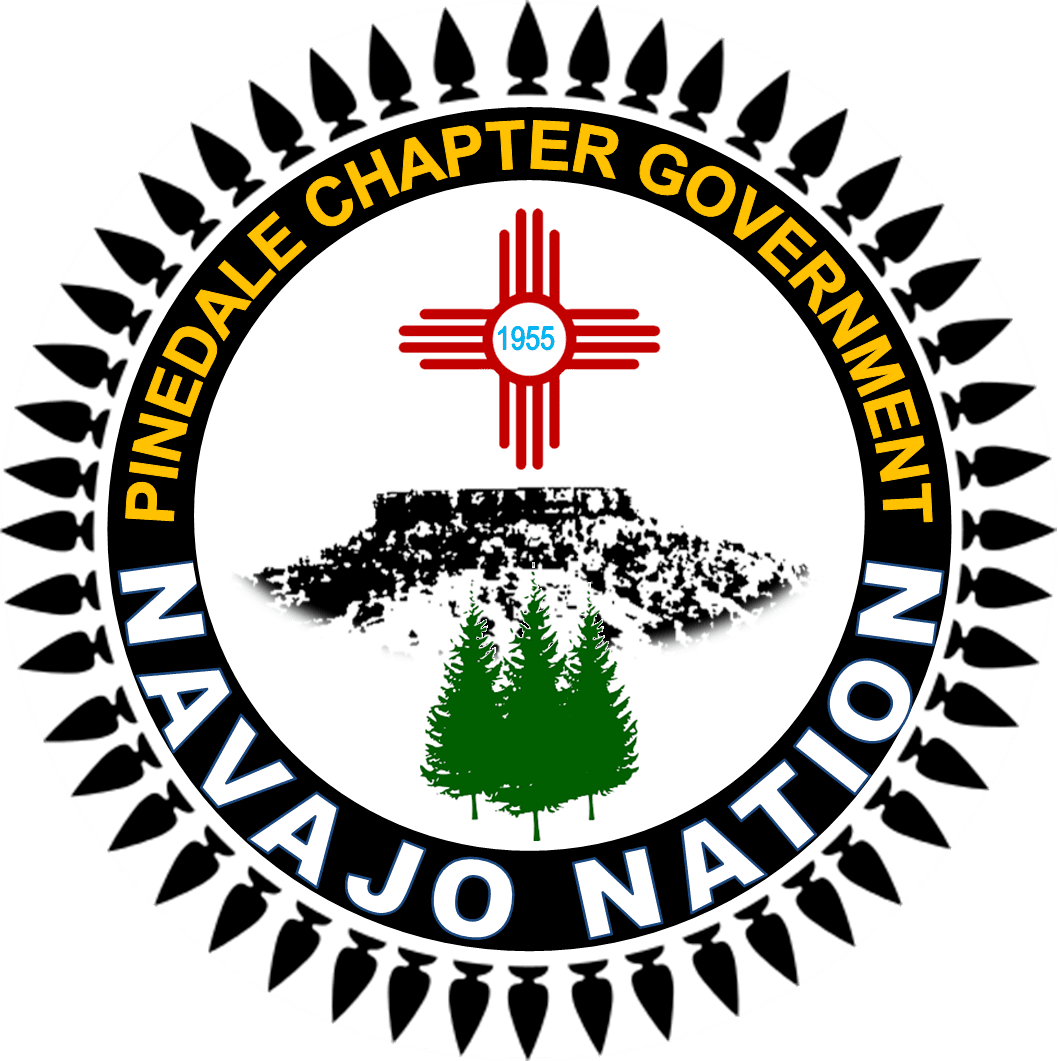 PINEDALE CHAPTER GOVERNMENT